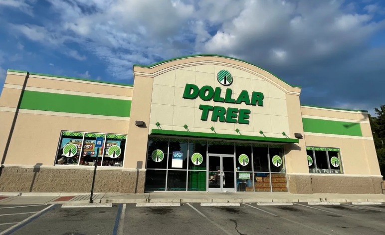 Who Owns Dollar Tree and Dollar General?
